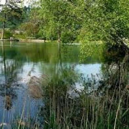 Studio Cosy Au Coeur De La Nature Gorze Εξωτερικό φωτογραφία