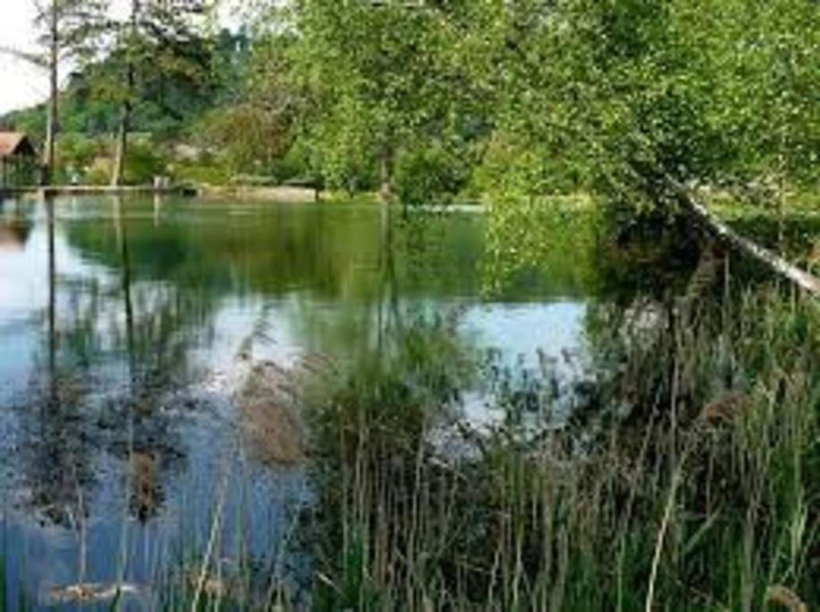 Studio Cosy Au Coeur De La Nature Gorze Εξωτερικό φωτογραφία